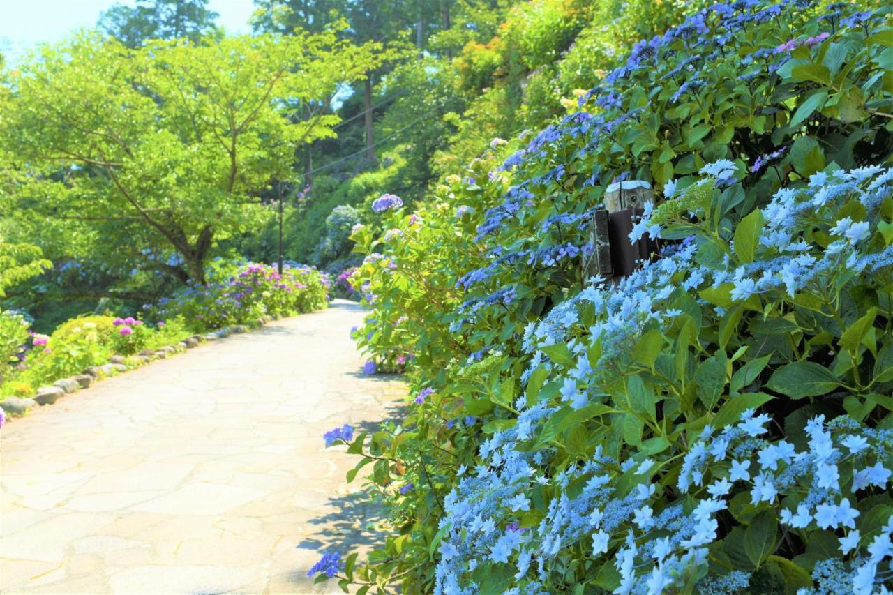 Sunny Side Cottage Shimoda  Εξωτερικό φωτογραφία