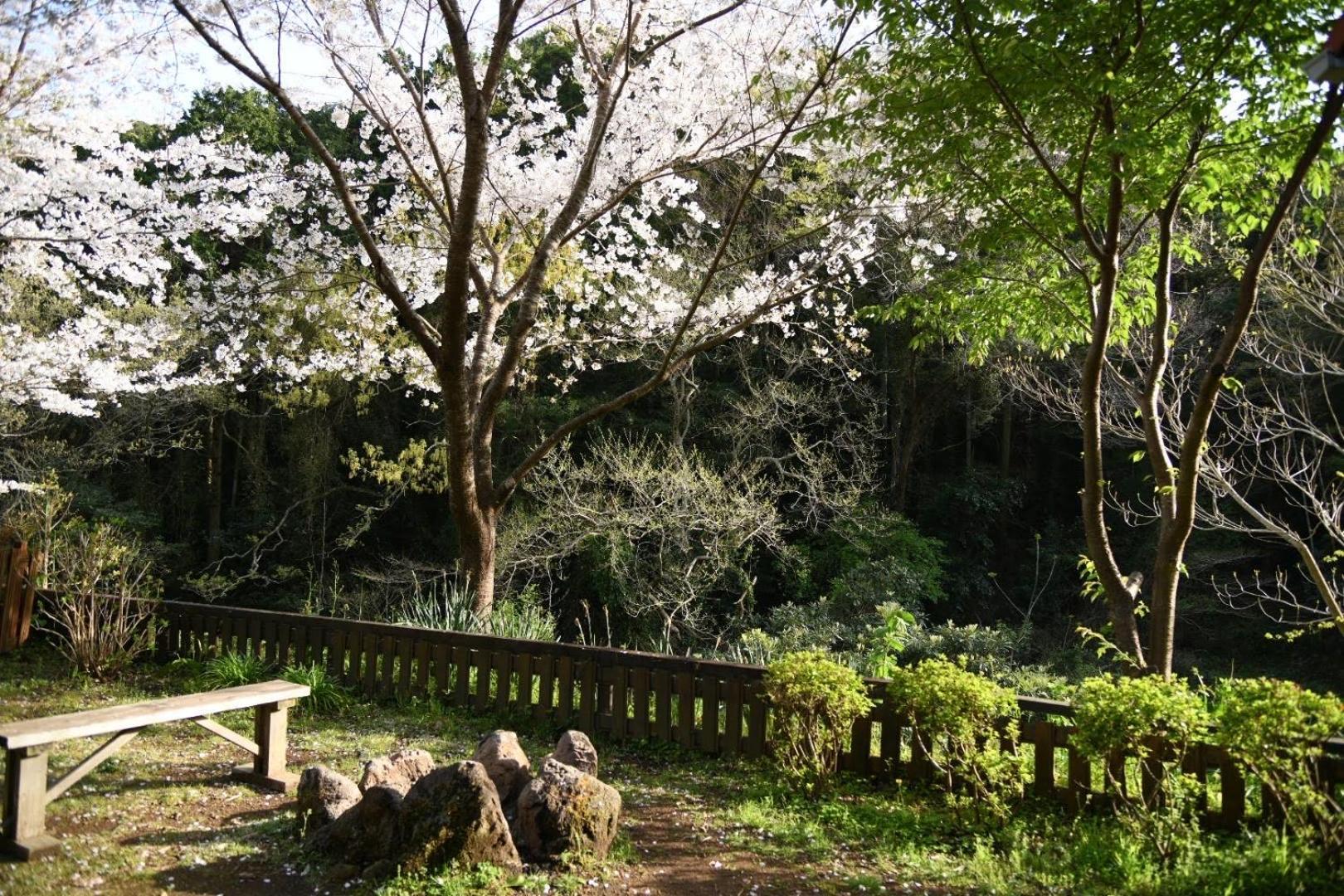 Sunny Side Cottage Shimoda  Εξωτερικό φωτογραφία