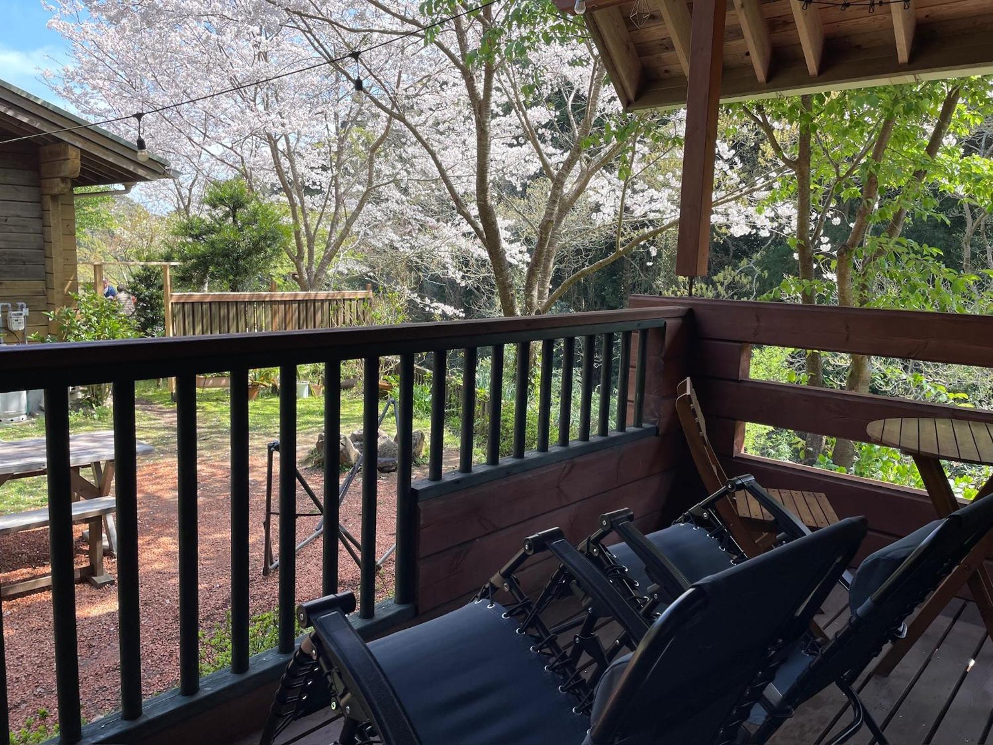 Sunny Side Cottage Shimoda  Εξωτερικό φωτογραφία