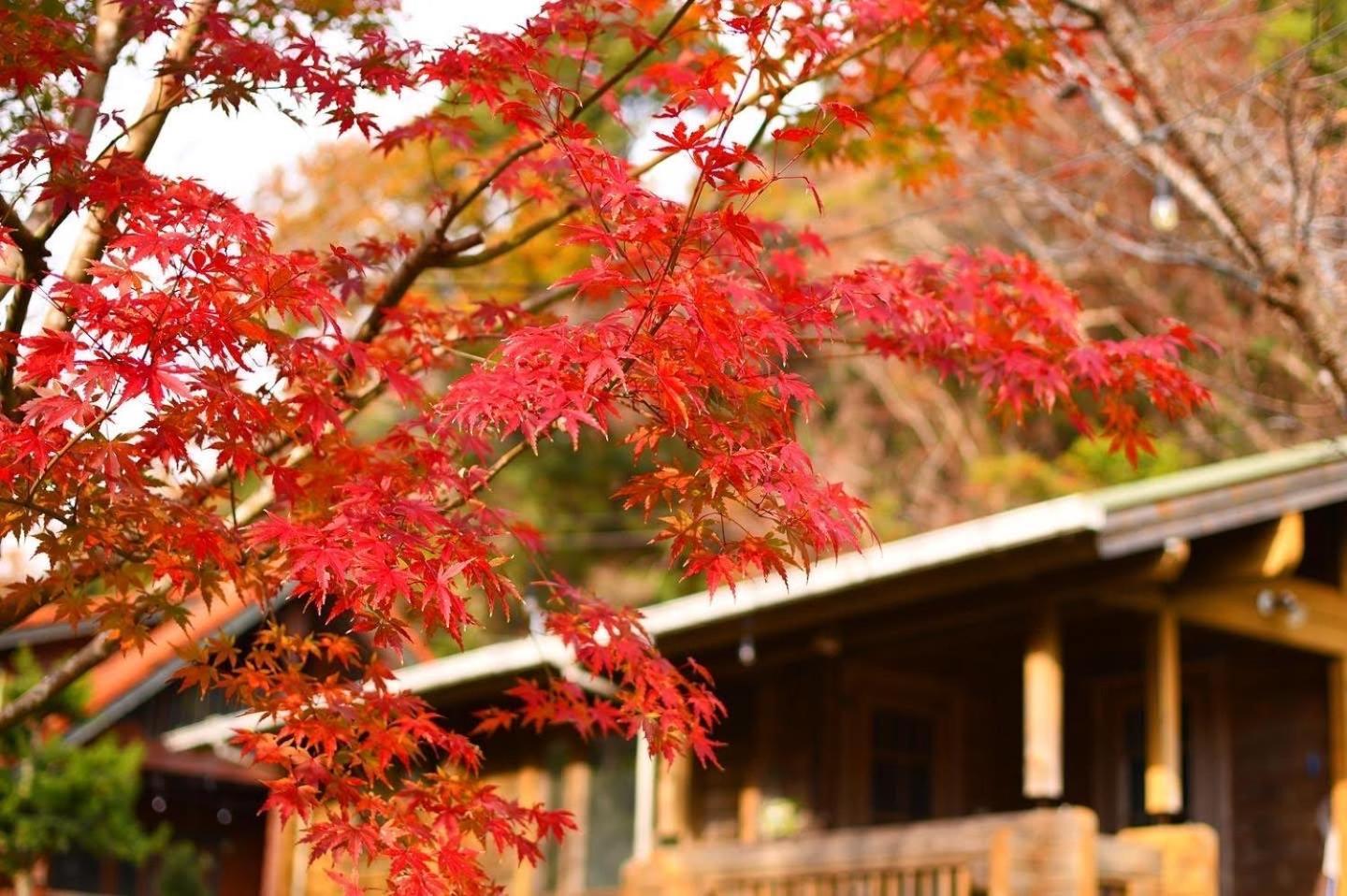 Sunny Side Cottage Shimoda  Εξωτερικό φωτογραφία