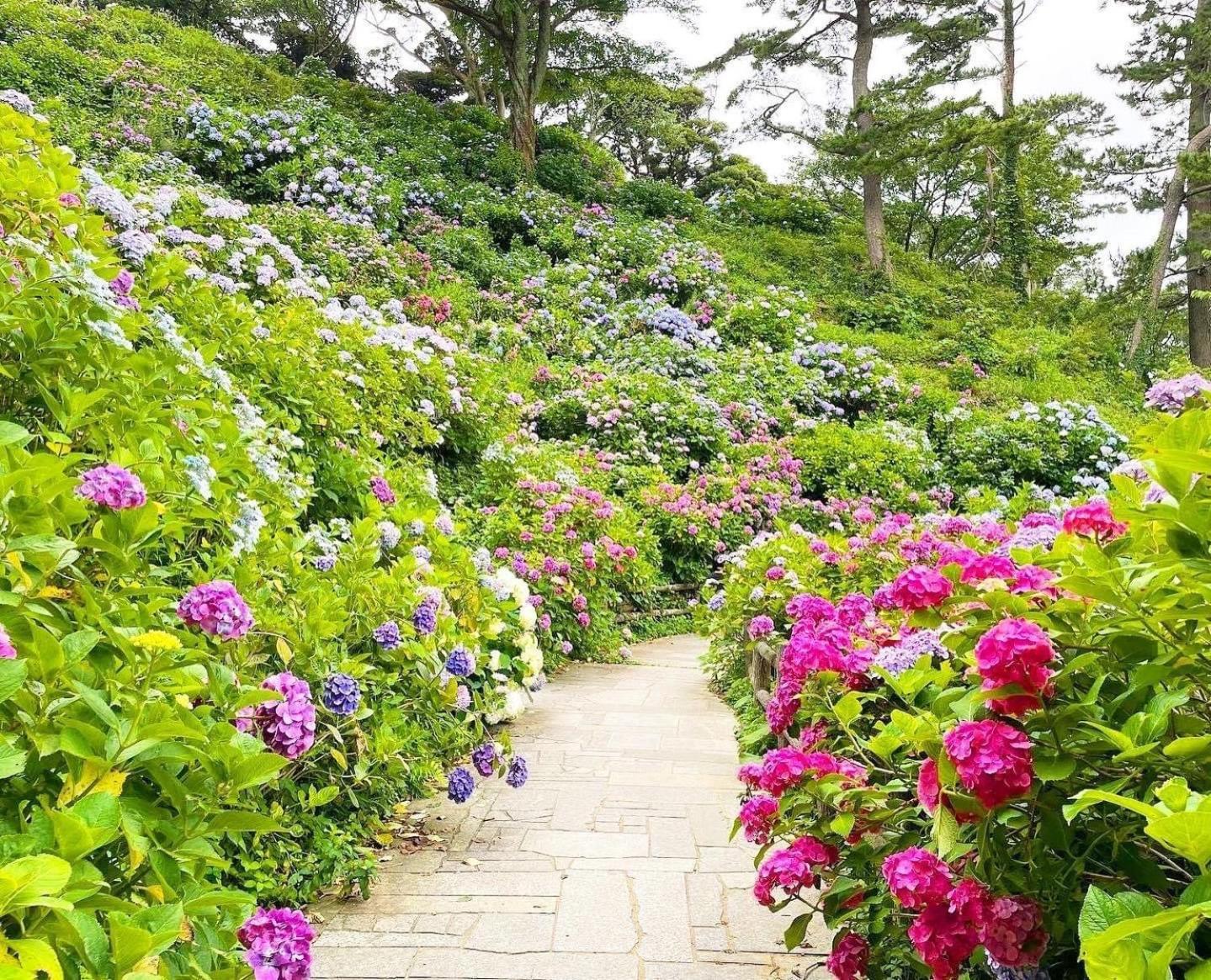 Sunny Side Cottage Shimoda  Εξωτερικό φωτογραφία