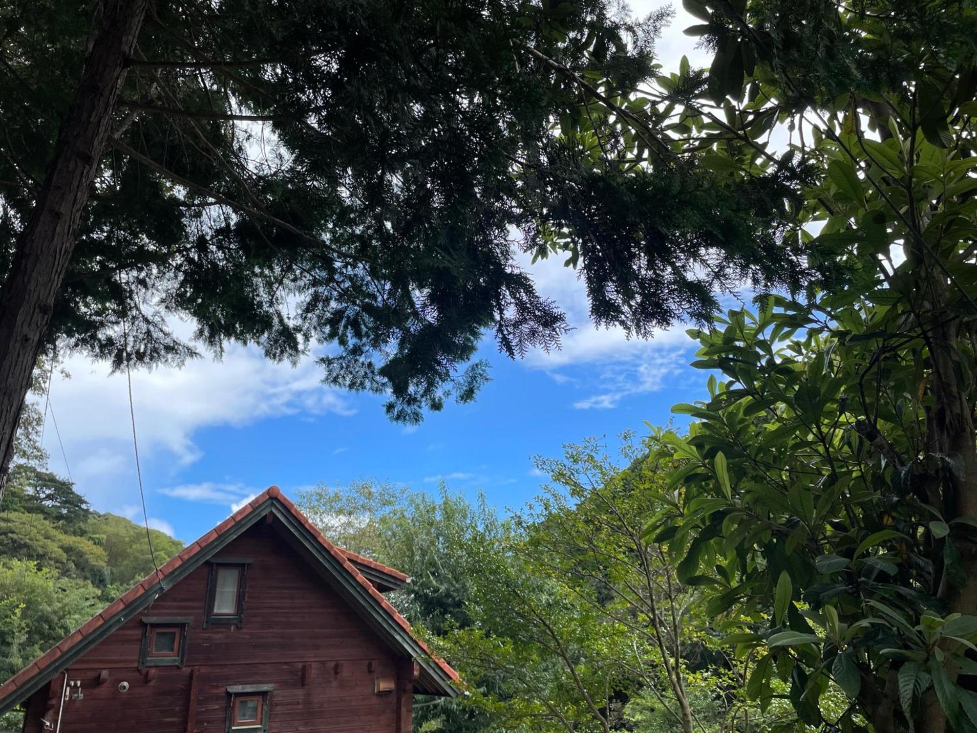 Sunny Side Cottage Shimoda  Εξωτερικό φωτογραφία